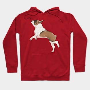 Jumping Frenchie Hoodie